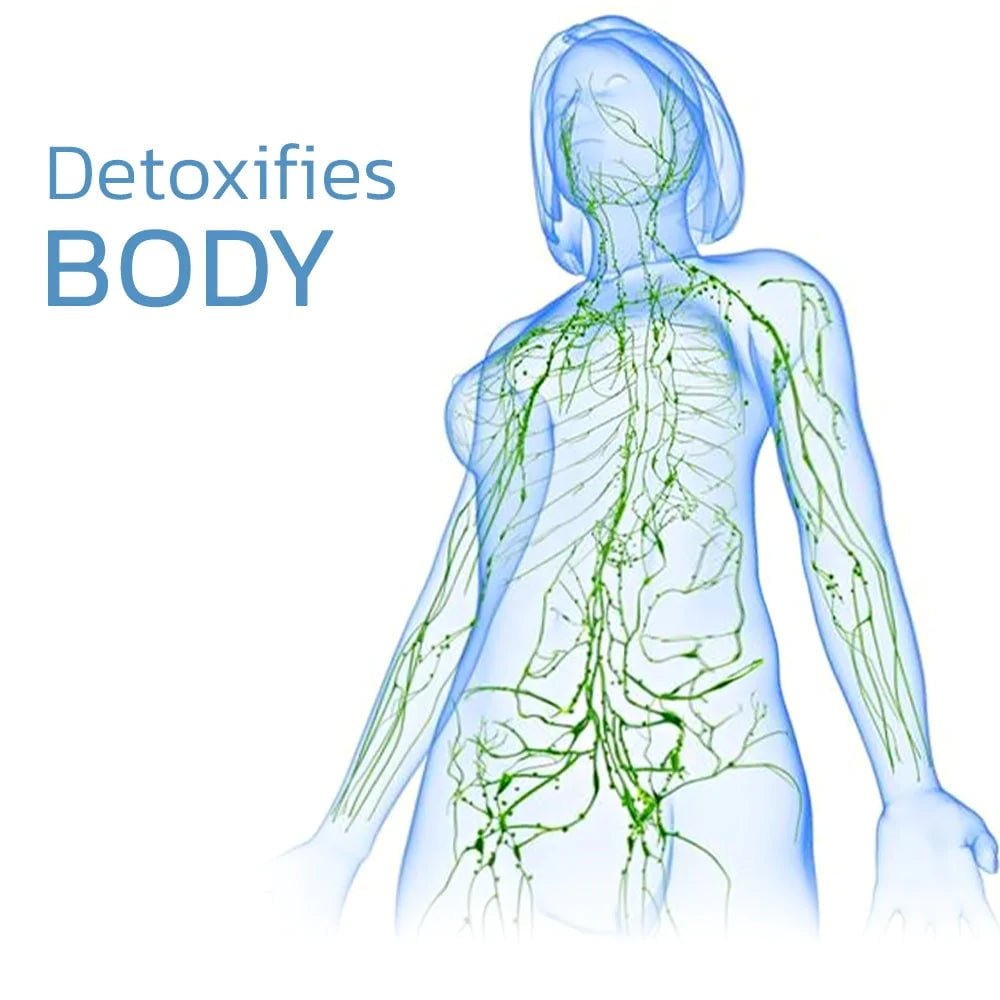 自動加熱膝サポーター:痛みの迅速な緩和